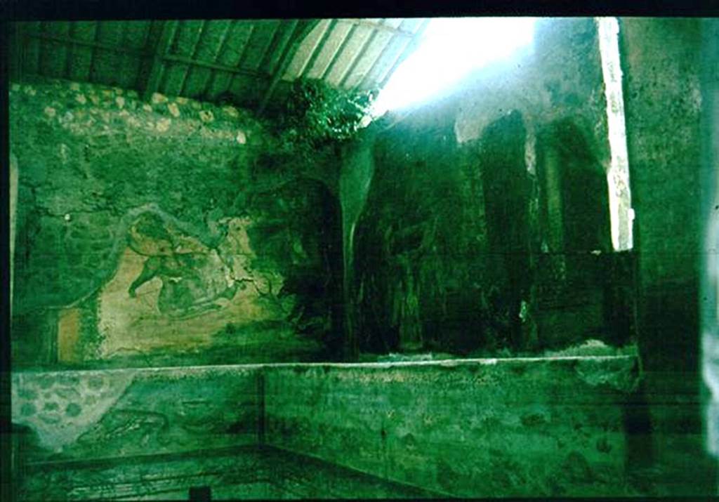 IX.8.6 Pompeii. West side of nymphaeum, south of peristyle.
Photographed 1970-79 by Günther Einhorn, picture courtesy of his son Ralf Einhorn.