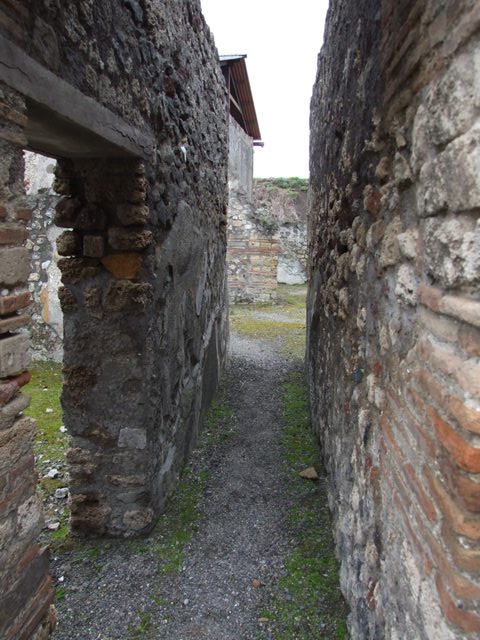 IX.8.6 Pompeii. March 2009. Nymphaeum south of peristyle. West side.