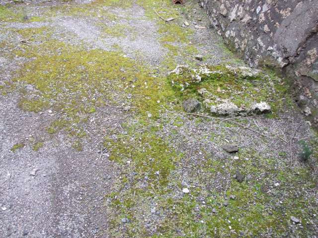 IX.8.6 Pompeii. September 2004. Nymphaeum south of peristyle. West side.
