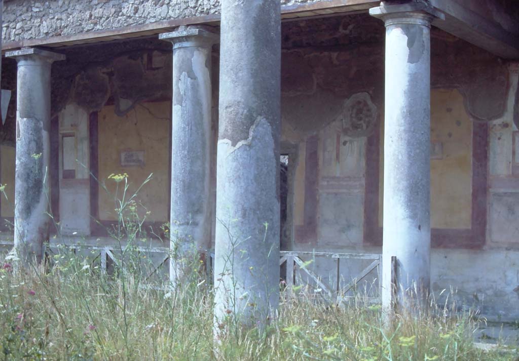 IX.8.6 Pompeii. 7th August 1976. Looking towards west portico from north-west corner of peristyle.
Photo courtesy of Rick Bauer, from Dr George Fay’s slides collection.