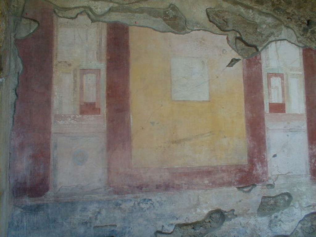 IX.8.6 Pompeii. September 2004. West wall of West Portico. Sixth panel from the north.