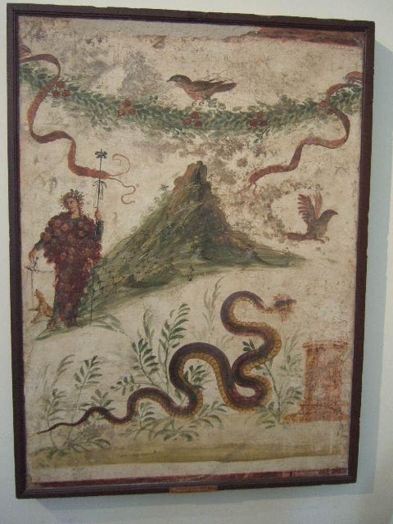 IX.8.3-6 Pompeii. Room 23, Lararium painting found in atrium of servants quarters. Lararium painting of Bacchus wearing a bunch of grapes. Also in the painting are a garland, birds and a serpent approaching a round altar from the left. Bacchus is pouring wine for the panther to drink. The mountain slopes are covered in vines. Now in Naples Archaeological Museum. Inventory number: 112286. See Fröhlich, T., 1991. Lararien und Fassadenbilder in den Vesuvstädten. Mainz: von Zabern. (L107, T: 11). See Boyce G. K., 1937. Corpus of the Lararia of Pompeii. Rome: MAAR 14. (p.89, no.448 and Pl. 40, 2)