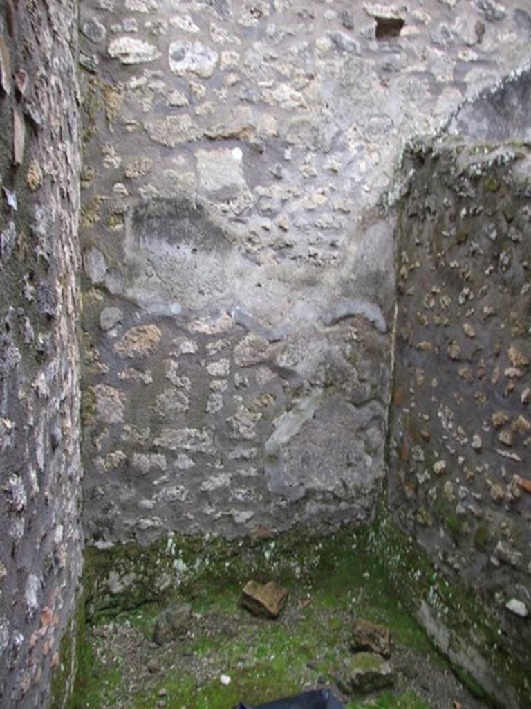 IX.8.6 Pompeii. March 2009. Room 26. South wall.