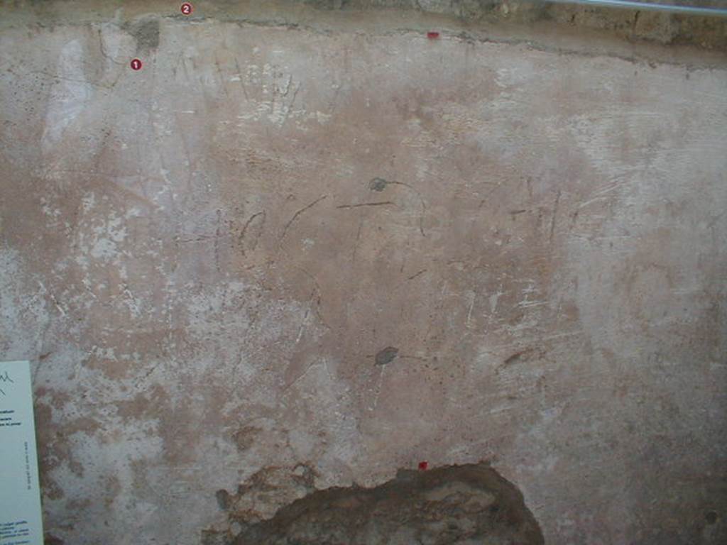 IX.8.6 Pompeii. September 2004. Room 27, scratched graffito in plaster on east wall.
At the top of the photo (small red numbered 1) would be CIL IV 5243, which read –
Memoria (CIL IV 5243)
Higher on the wall (small red numbered 2) would be CIL IV 5242, which read –
quodam quidem testis eris quid senserim
vai cacaturiaro veniam
cacatum (CIL IV 5242)
In the centre of the photo would be part of CIL IV 5244, see previous photo.