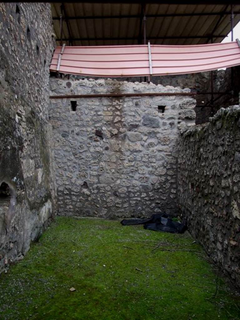 IX.8.6 Pompeii. March 2009. Room 28. Looking north. Niche in west wall.
