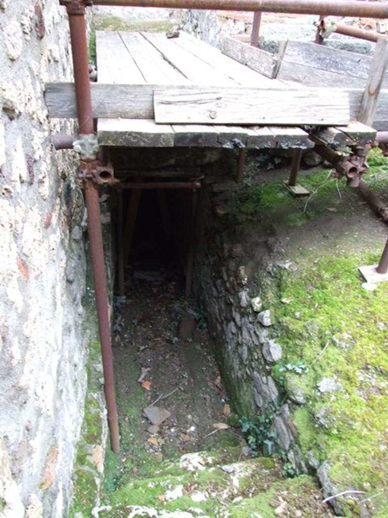 IX.8.6 Pompeii. March 2009. Stairs to cellar on east side of Room 28.