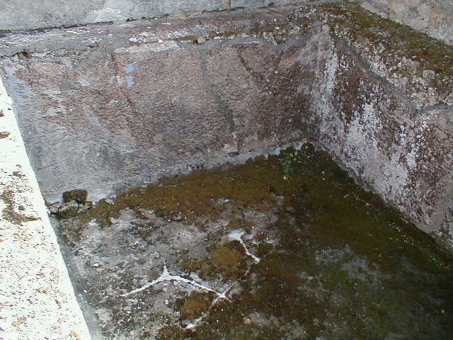 IX.8.6 Pompeii. March 2009.   Room 22.  Remains of stairs against north wall.