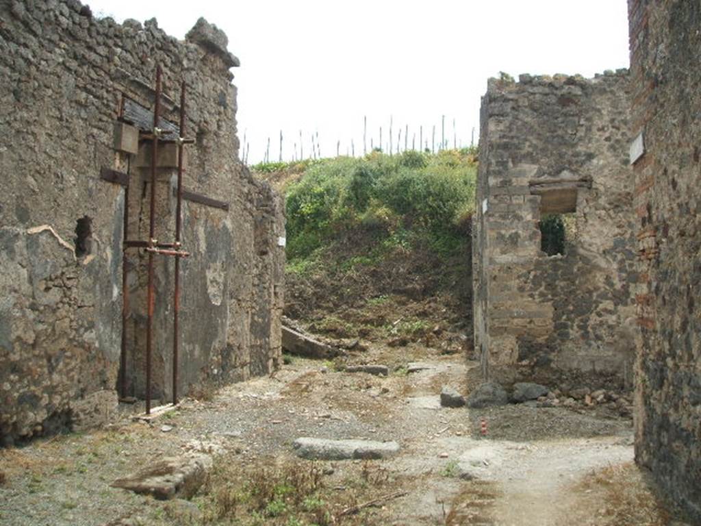 IX.8.b and IX.8.c  Pompeii. May 2005. Looking south into unexcavated area. IX.6 and IX.5 on right.


