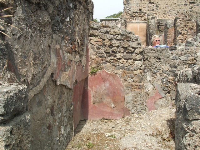 IX.8.c Pompeii. May 2005. Looking south along East Portico, with entrance to Triclinium on the left. The room on south side of garden area is on the right. Photograph taken from IX.8.6.