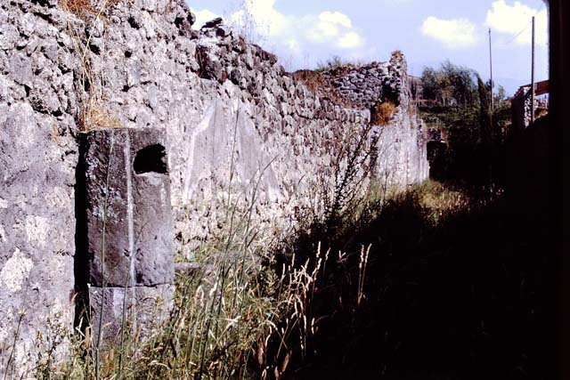IX.9.1 Pompeii. March 2009. Looking north at counter with 4 dolia, niche and display shelving.