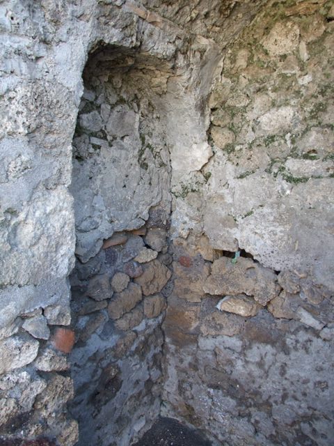 IX.9.a/2 Pompeii.  March 2009.  Remains of painting are visible in the Niche.  
In the floor of the niche is a hole for the base of a statue. See Giacobello, F., 2008. Larari Pompeiani: Iconografia e culto dei Lari in ambito domestico.  Milano: LED Edizioni. (IX.9.2:110, p.213). See Boyce G. K., 1937. Corpus of the Lararia of Pompeii. Rome: MAAR 14.  (IX.9.2: 454)