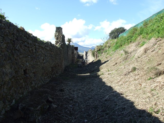 IX.9.10 Pompeii. March 2009. Roadway looking north, with Vesuvius in the background.