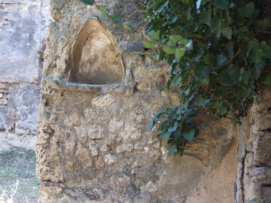 IX.9.11 Pompeii. March 2009. West wall of atrium, between doorways to Rooms 6 and 5.