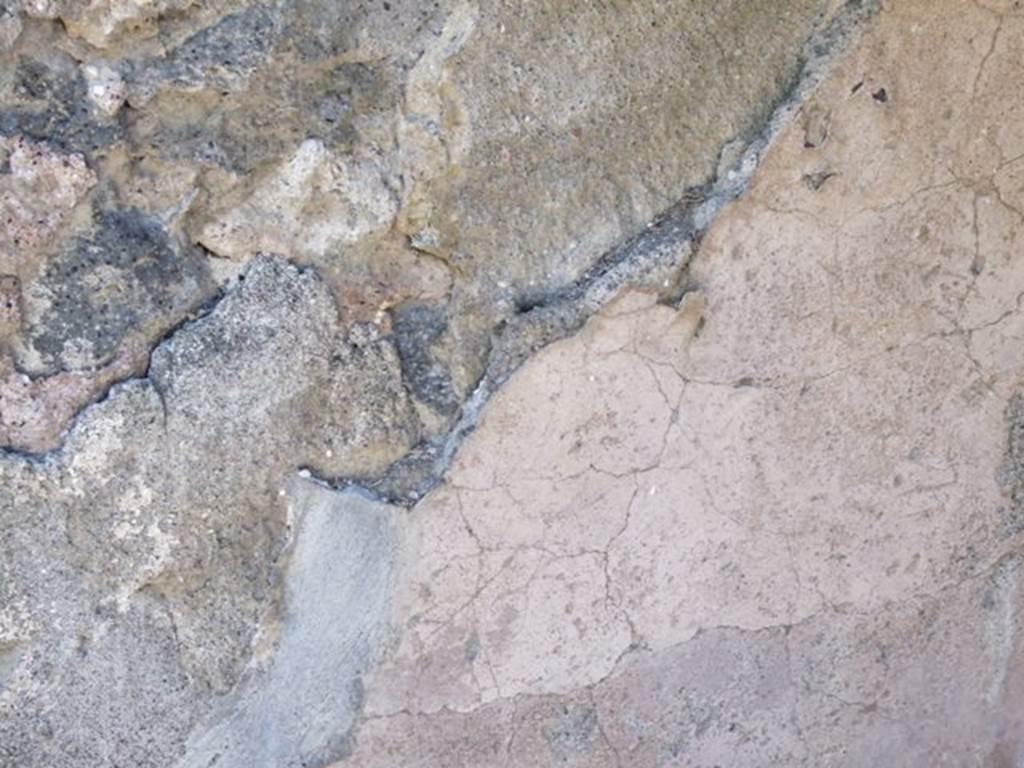 IX.9.11 Pompeii. March 2009. Plaster on west wall of atrium, between doorways to Rooms 6 and 5.
