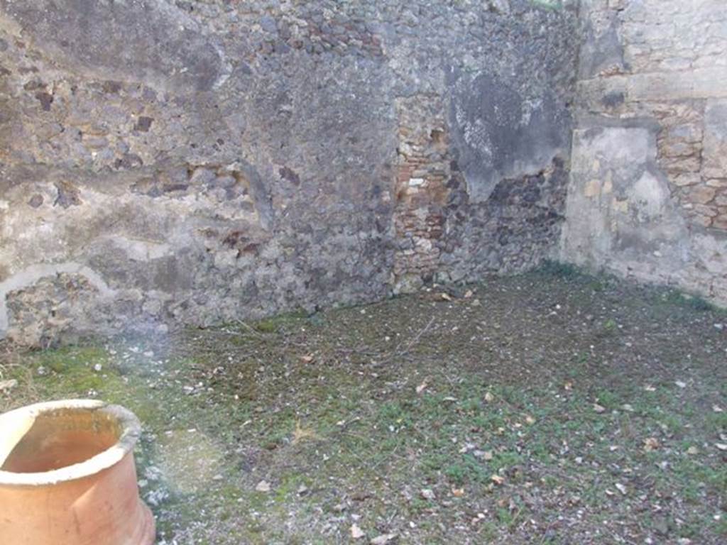 IX.9.11 Pompeii. March 2009. Room 6. Garden area. South wall and south west corner, with remains of Lararium painting.