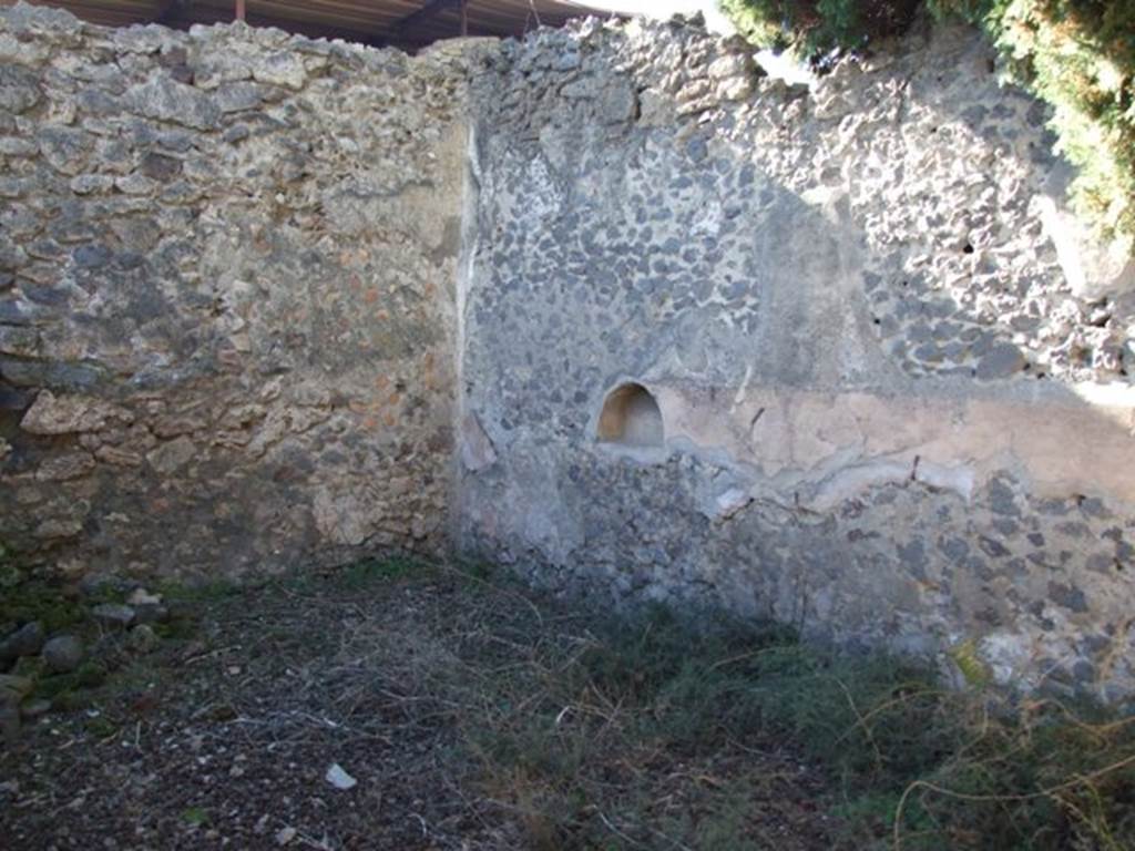 IX.9.11 Pompeii. March 2009. Room 7. North west corner of Triclinium.