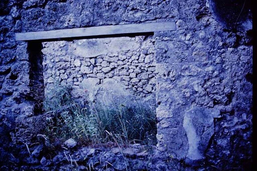 IX.9.11 Pompeii, 1978. Looking through window in south wall of triclinium onto garden area. Photo by Stanley A. Jashemski.
Source: The Wilhelmina and Stanley A. Jashemski archive in the University of Maryland Library, Special Collections (See collection page) and made available under the Creative Commons Attribution-Non Commercial License v.4. See Licence and use details.
J78f0283