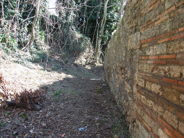 IX.9.12 Pompeii. March 2009. Room 13, Triclinium. Looking west through window into Room 16, Light-yard of IX.9.e
