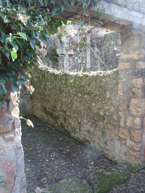 IX.9.13 Pompeii. March 2009. Room 3, Triclinium. East wall.