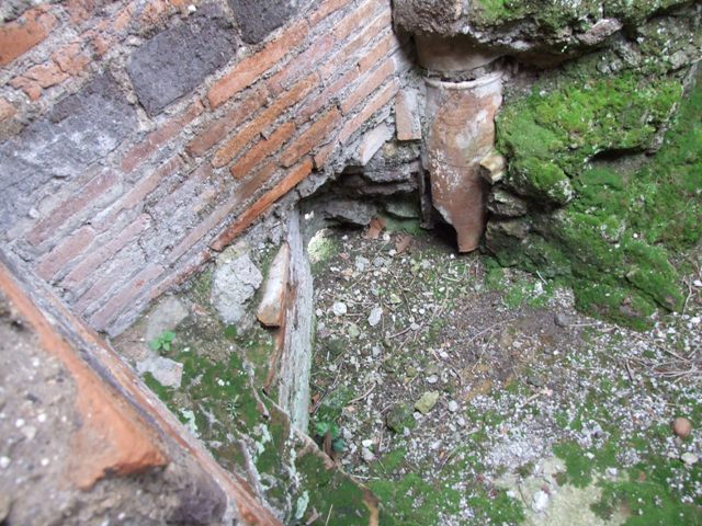 IX.9.c Pompeii.  March 2009.  Lararium Niche.