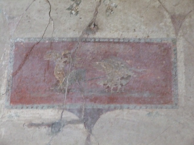 IX.9.c Pompeii. March 2009. Upper east wall of cubiculum. Painted plants and mask.
