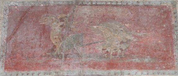 IX.9.c Pompeii. March 2009. Cubiculum. Upper East wall.