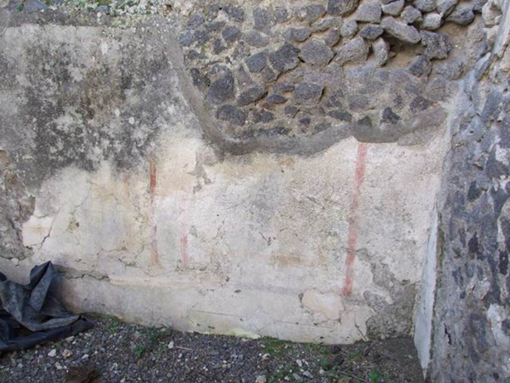 IX.9.d Pompeii. March 2009. Room 3. Triclinium. North wall.