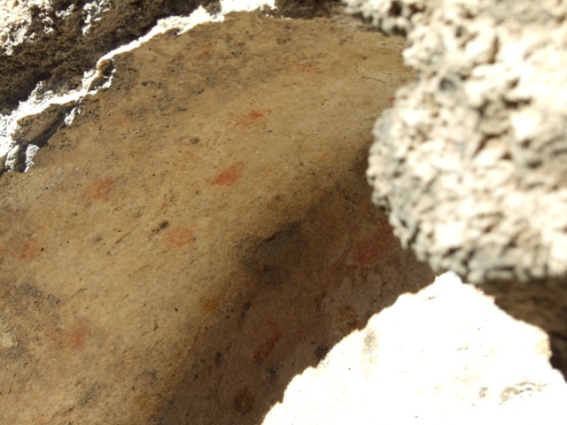 IX.9.e Pompeii.  March 2009. Room 19.  South east corner.