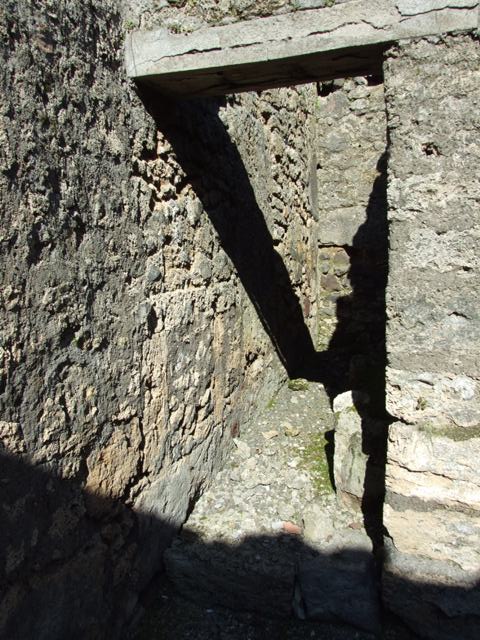 IX.9.f Pompeii. March 2009. South-west corner of tablinum (or triclinium?).  