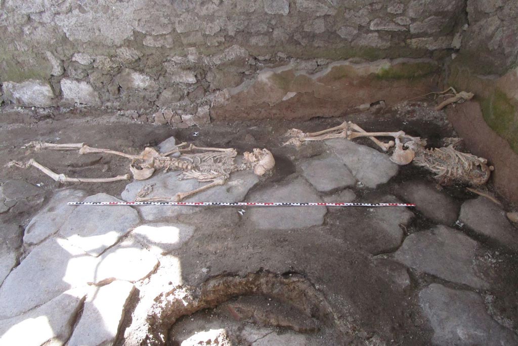 IX.10.1 Pompeii. May 2023. Room 4. Skeletons of individual 1 (left) and individual 2 (right) on the paved floor.
A circular cut around which the paving stones are arranged, suggests the presence of an original millstone removed in modern times.
IX.10.1 Pompei. Maggio 2023. Camera 4. Scheletri dell'individuo 1 (a sinistra) e dell'individuo 2 (a destra) sulla pavimentazione.
Un taglio circolare attorno al quale sono disposte le pietre, suggerisce la presenza di una macina originale rimossa in tempi moderni.
Photograph © Parco Archeologico di Pompei.
Vedi/See Ri-scavare Pompei: nuovi dati interdisciplinari dagli ambienti indagate a fine ‘800 di Regio IX, 10.1.4. E-journal 2, Scavi di Pompeii, 29.5.2023, p. 7ff, fig. 9. E-journal on PAP web site