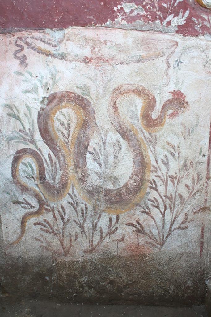 IX.10.1 Pompeii. September 2023. Lararium and altar recently found in room 12.
Snake in the lower register.
On the left side there is a fresco of a crested and bearded serpent heading towards the altar.
Serpente nel registro inferiore.
Sulla sinistra è affrescato un serpente crestato e barbato che si dirige verso l’altare.
See PAP e-journal 6, 28.09.2023, p. 65, fig. 12. Download: PAP e-journals 2023 collection volumes 01-09
Photograph © Parco Archeologico di Pompei.