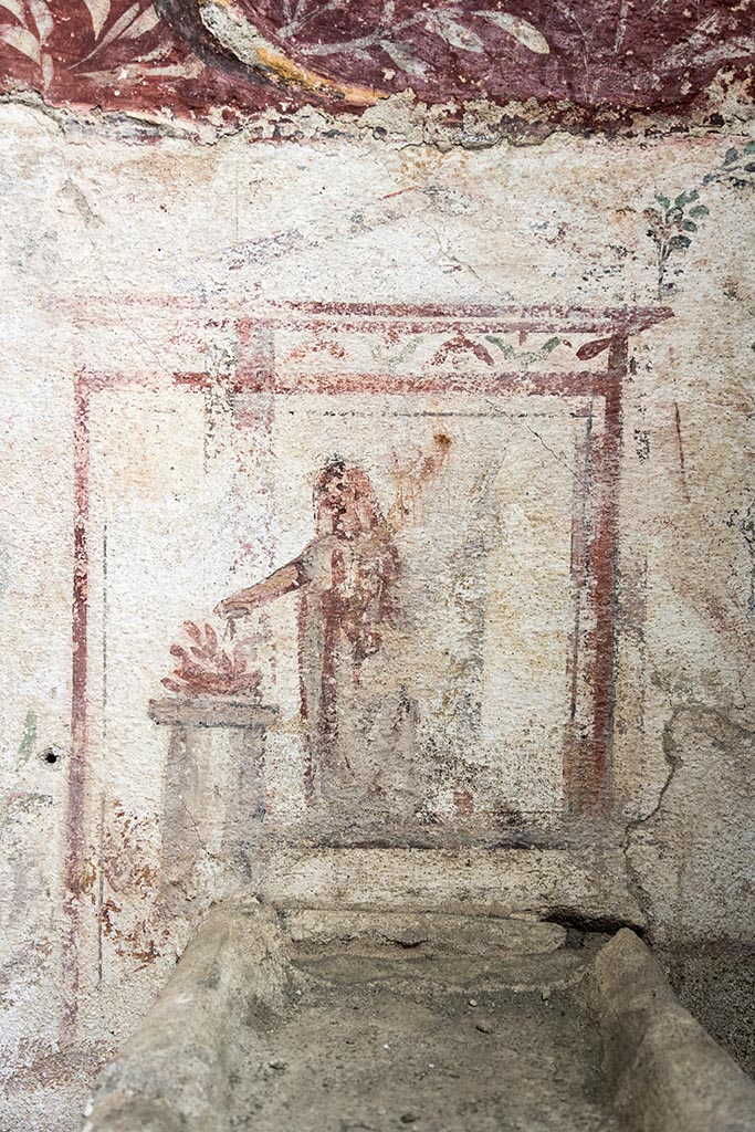 IX.10.1, Pompeii. July 2024.
Lararium and altar found in room 12. Photo courtesy of Johannes Eber.
The altar is surmounted by a painted rectangular aedicule terminating in vegetal whorls, and which frames the Genius patris familias with cornucopia and patera making libations at a circular altar.
L’altare è sormontato da un’edicola rettangolare dipinta e terminante in girali vegetali, che inquadra il Genius patrisfamilias con cornucopia e patera che compie libagioni presso un altare circolare.
See PAP e-journal 6, 28.09.2023, p. 65, fig. 14. Download: PAP e-journals 2023 collection volumes 01-09