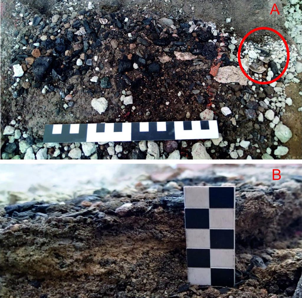 IX.10.1 Pompeii. September 2023. Lararium and altar recently found in room 12.
Traces of combustion on the altar during micro-excavation. Detail of the first level of the deposit (A); Deposit in section (B).
Tracce di combustione sull’altare in fase di microscavo. Dettaglio del primo livello del deposito (A); Sezione del deposito (B).
See PAP e-journal 6, 28.09.2023, p. 67, fig. 18. Download: PAP e-journals 2023 collection volumes 01-09
Photograph © Parco Archeologico di Pompei.