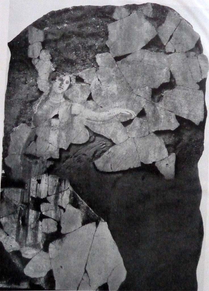 IX.12.2 Pompeii. West wall, a fragment of a painting of the liberation of Andromeda showing the name of Andromeda, painted near the remaining fragments of the figure.
See Spinazzola V., 1953. Pompei alla luce degli Scavi Nuovi di Via dell’Abbondanza (anni 1910-1923). Roma: La Libreria della Stato, fig. 695.
