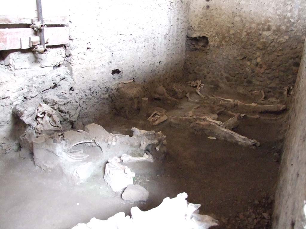 IX.12.8 Pompeii. December 2006. Looking north-west across skeletons in stables.