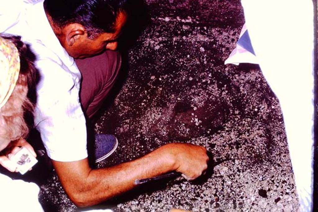 IX.13.1-3 Pompeii, 1973. Careful digging out of a Jashemski �sombrero�.  Photo by Stanley A. Jashemski. 
Source: The Wilhelmina and Stanley A. Jashemski archive in the University of Maryland Library, Special Collections (See collection page) and made available under the Creative Commons Attribution-Non Commercial License v.4. See Licence and use details. J73f0482
