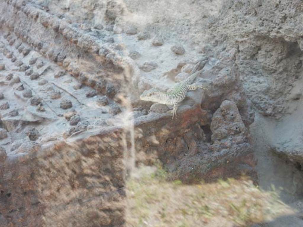 IX.14.4 Pompeii. May 2017. Detail from arca or money chest. Photo courtesy of Buzz Ferebee.