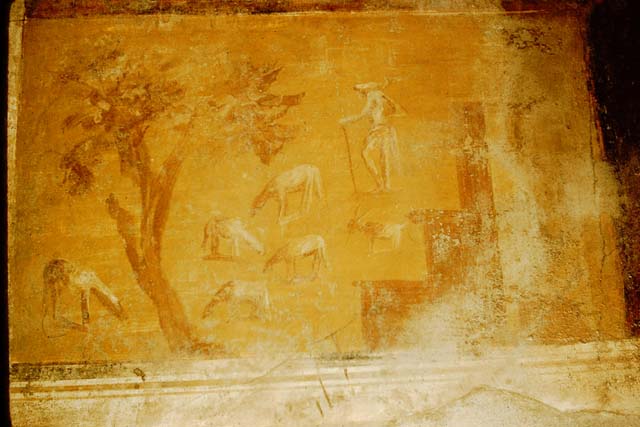 IX.14.4 Pompeii. May 2010.  Looking north-west to atrium across east side, from the rear.
