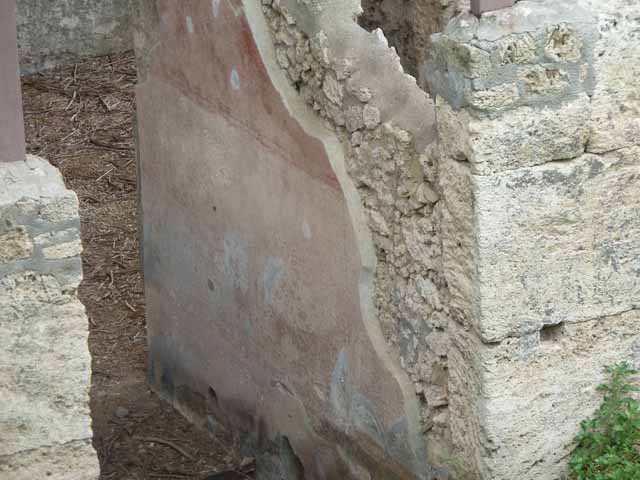 IX.14.c Pompeii. May 2010. Looking east across façade, to east wall of atrium, and rear garden area on the south side.