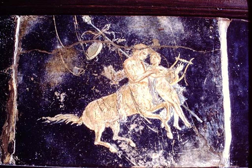 HGW06 Pompeii. 1968. Found in triclinium. Wall painting of centaurs with riders on their backs.
Now in Naples Archaeological Museum. Inventory number 9133 (part).
Photo by Stanley A. Jashemski.
Source: The Wilhelmina and Stanley A. Jashemski archive in the University of Maryland Library, Special Collections (See collection page) and made available under the Creative Commons Attribution-Non Commercial License v.4. See Licence and use details.
J68f0818