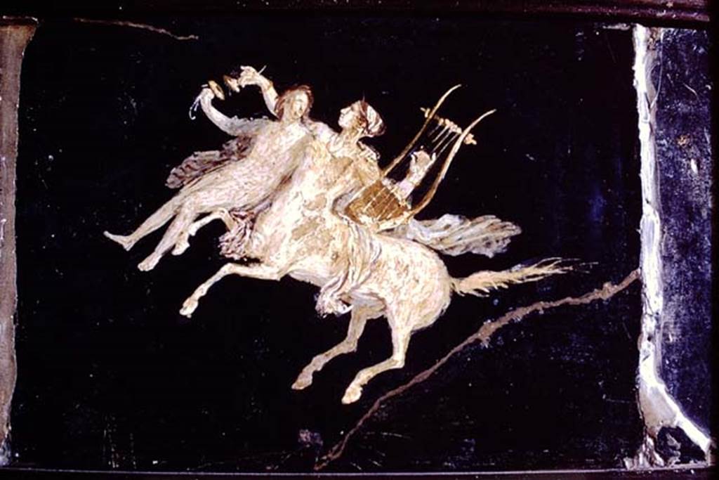 HGW06 Pompeii. 1968. Found in triclinium on 18 January 1749. Wall painting of centaurs with riders on their backs.
Now in Naples Archaeological Museum. Inventory number 9133 (part).
Photo by Stanley A. Jashemski.
Source: The Wilhelmina and Stanley A. Jashemski archive in the University of Maryland Library, Special Collections (See collection page) and made available under the Creative Commons Attribution-Non Commercial License v.4. See Licence and use details.
J68f0817