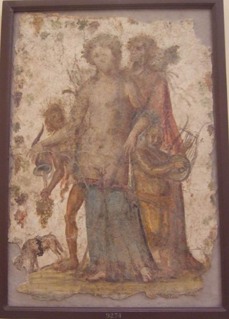 HGW06 Pompeii. Found 29th March 1749. Ambiente 1 of Villa of Cicero.
Painting of Bacchus with cup and panther, Silenus with cithara and other figures.
Now in Naples Archaeological Museum. Inventory number 9274.
See Pagano, M. and Prisciandaro, R., 2006. Studio sulle provenienze degli oggetti rinvenuti negli scavi borbonici del regno di Napoli. Naples: Nicola Longobardi. (p.13).
Kuivalainen comments –
A somewhat effeminate and naked Bacchus; the rhyton is a less customary attribute. The panther is also unusual both in his appearance and by the way he is lapping his wine up from the ground. The composition is full of small anomalies.
See Kuivalainen, I., 2021. The Portrayal of Pompeian Bacchus. Commentationes Humanarum Litterarum 140. Helsinki: Finnish Society of Sciences and Letters, (F16, p.171-2).