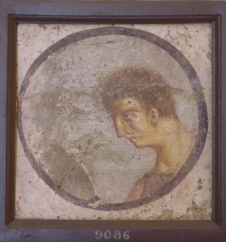 HGW06 Pompeii. Found 25th October 1760 in Villa of Cicero. Round painted portrait panel of a female figure with a bird in front of her. Now in Naples Archaeological Museum. Inventory number 9086. See Prisciandaro, R., 2006. Studio sulle provenienze degli oggetti rinvenuti negli scavi borbonici del regno di Napoli: Una lettura integrata, coordinata e commentata della documentazione Volume 1. Naples : Nicola Longobardi. (p.36).