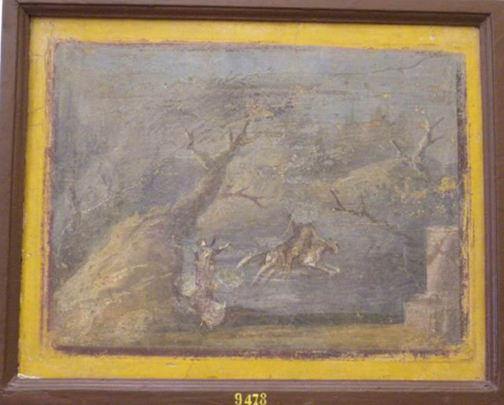 HGW06 Pompeii. Found 22nd March 1764. ?Ambiente 34 of Villa of Cicero.
Wall painting of Phrixus and Helle fleeing on the swimming ram.
Helle has fallen into the water and holds her hands out.
Now in Naples Archaeological Museum. Inventory number 9478.
See Helbig, W., 1868. Wandgemälde der vom Vesuv verschütteten Städte Campaniens. Leipzig: Breitkopf und Härtel. (1258).