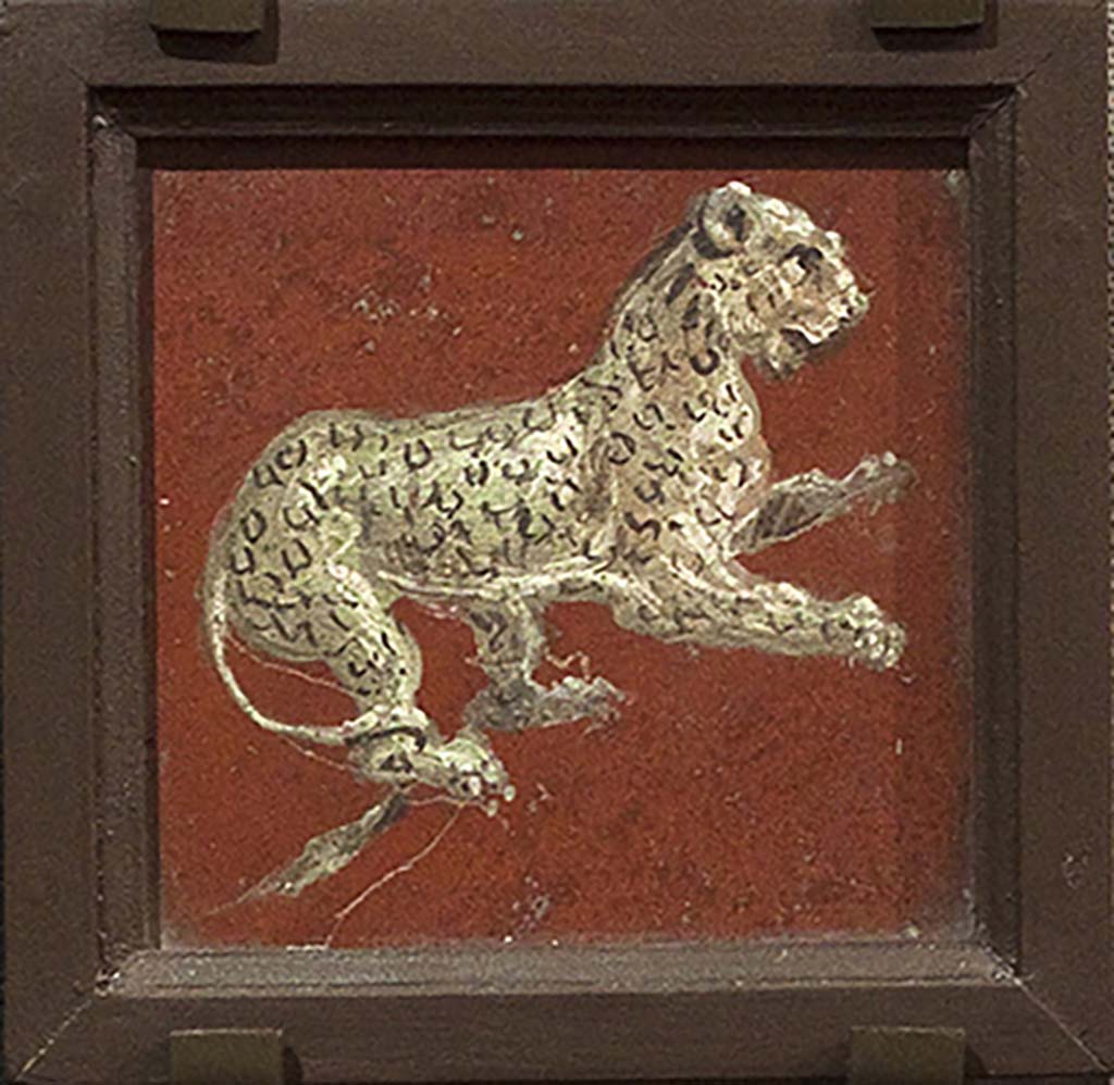 HGW24 Pompeii. The central vignette representing a panther was removed from side panel of east wall of antechamber.
(Fontaine, room 2,10).
Now in Naples Archaeological Museum.