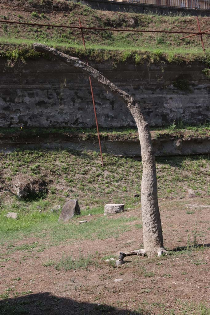 Villa Regina, Boscoreale. September 2021.
Looking south towards cast of tree. Photo courtesy of Klaus Heese.