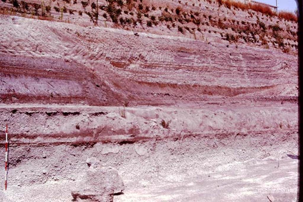 Villa Regina, Boscoreale. 1980. North side of site. Ash layers in the cut made for the excavations.
According to Wilhelmina, in 1981 “Professor Sigurdsson, a volcanologist, visited our excavations and he pointed out that, in the new cut that had been made to prepare the part we were to excavate, the stratification of the fill that covered Boscoreale was clearly visible and quite different than at Pompeii. First there was a substantial airflow of pumice up to a thickness of 1.45 meters. Next came a brief ground surge made up of coarse pumice.”
See Jashemski W. F., 2014. Discovering the Gardens of Pompeii: The Memoirs of a Garden Archaeologist 1955 – 2004, p. 279.
Photo by Stanley A. Jashemski.
Source: The Wilhelmina and Stanley A. Jashemski archive in the University of Maryland Library, Special Collections (See collection page) and made available under the Creative Commons Attribution-Non Commercial License v.4. See Licence and use details.
J80f0177