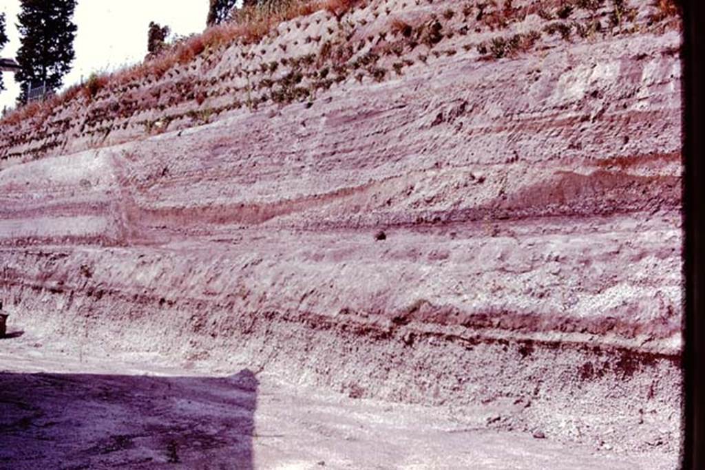 Villa Regina, Boscoreale. 1980. Ash layers on north side of site. Photo by Stanley A. Jashemski.
Source: The Wilhelmina and Stanley A. Jashemski archive in the University of Maryland Library, Special Collections (See collection page) and made available under the Creative Commons Attribution-Non Commercial License v.4. See Licence and use details.
J80f0178
