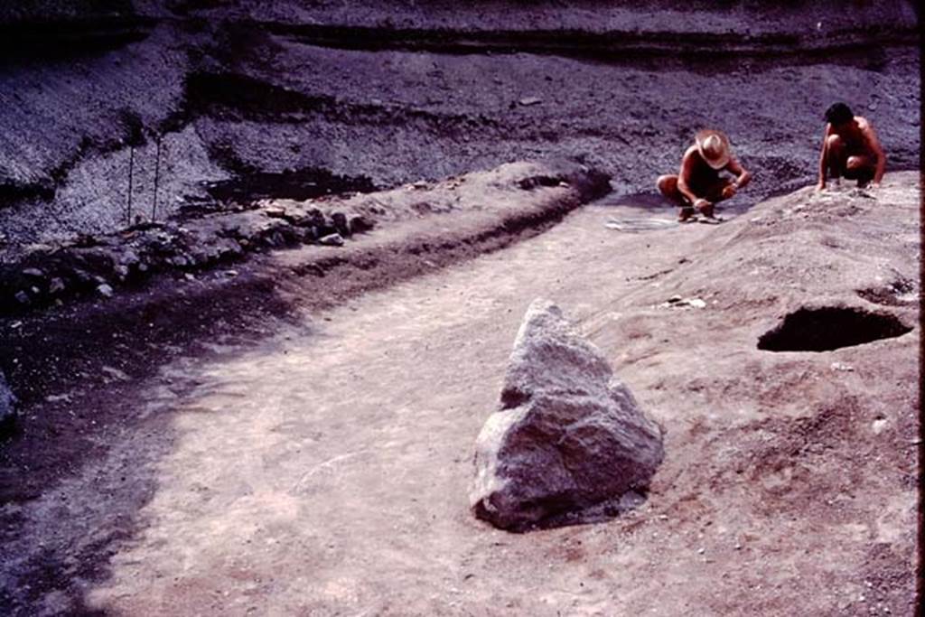 Villa Regina, Boscoreale. 1983. Path of ancient road.
Source: The Wilhelmina and Stanley A. Jashemski archive in the University of Maryland Library, Special Collections (See collection page) and made available under the Creative Commons Attribution-Non Commercial License v.4. See Licence and use details.
J80f0533