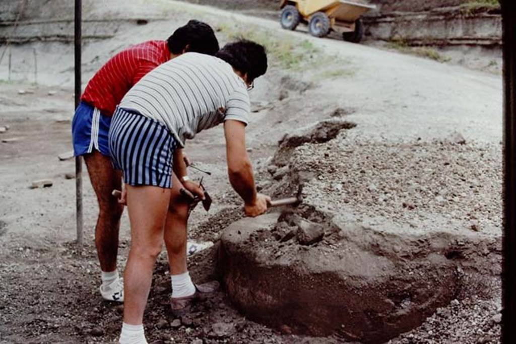 Villa Regina, Boscoreale. 1983. Discovering and excavating the well.
Source: The Wilhelmina and Stanley A. Jashemski archive in the University of Maryland Library, Special Collections (See collection page) and made available under the Creative Commons Attribution-Non Commercial License v.4. See Licence and use details. J80f0620